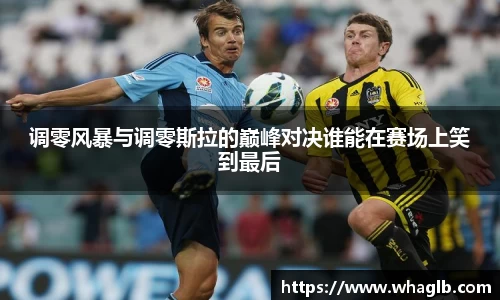 调零风暴与调零斯拉的巅峰对决谁能在赛场上笑到最后