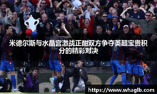 米德尔斯与水晶宫激战正酣双方争夺英超宝贵积分的精彩对决